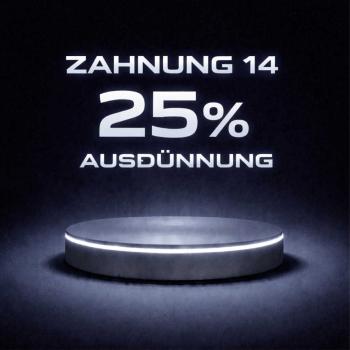 Preview: Pinin Q4 Ingrid 6.0